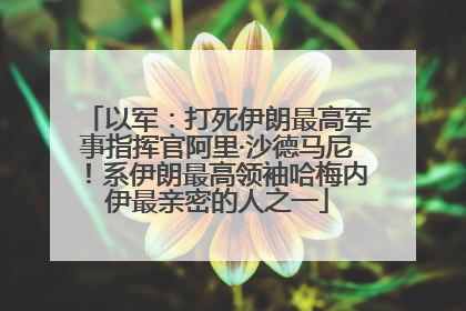 以军：打死伊朗最高军事指挥官阿里·沙德马尼！系伊朗最高领袖哈梅内伊最亲密的人之一