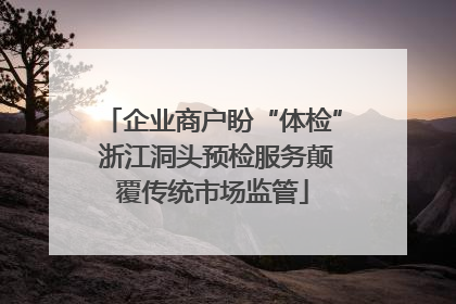 企业商户盼“体检” 浙江洞头预检服务颠覆传统市场监管