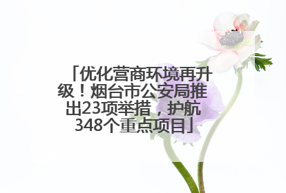 优化营商环境再升级！烟台市公安局推出23项举措，护航348个重点项目
