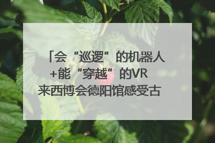 会“巡逻”的机器人+能“穿越”的VR 来西博会德阳馆感受古蜀文明与现代智造的时空对话｜西博视界