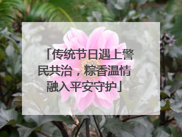 传统节日遇上警民共治，粽香温情融入平安守护