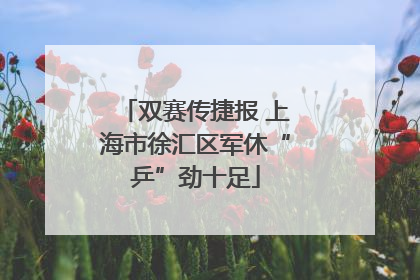 双赛传捷报 上海市徐汇区军休“乒”劲十足