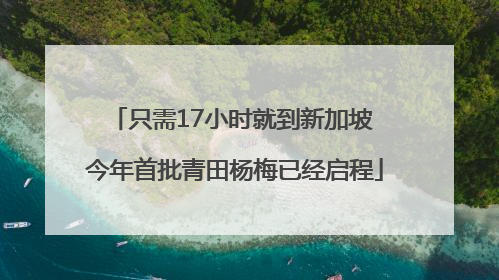 只需17小时就到新加坡 今年首批青田杨梅已经启程