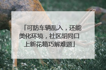 可防车辆乱入，还能美化环境，社区胡同口上新花箱巧解难题