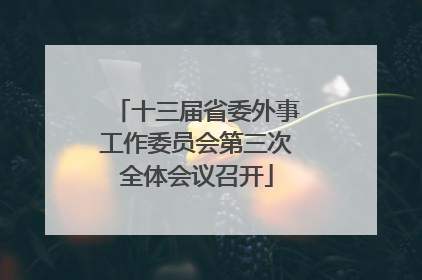 十三届省委外事工作委员会第三次全体会议召开
