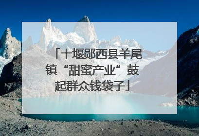 十堰郧西县羊尾镇“甜蜜产业”鼓起群众钱袋子