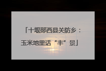 十堰郧西县关防乡：玉米地里话“丰”景