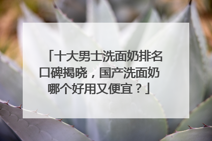 十大男士洗面奶排名口碑揭晓，国产洗面奶哪个好用又便宜？