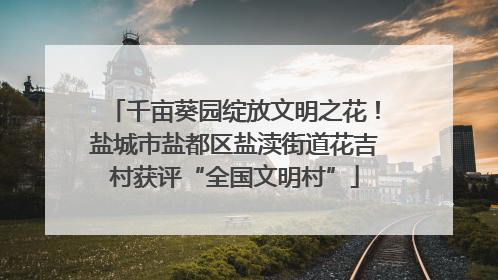 千亩葵园绽放文明之花！盐城市盐都区盐渎街道花吉村获评“全国文明村”