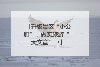 升级景区“小公厕”，做实旅游“大文章”→