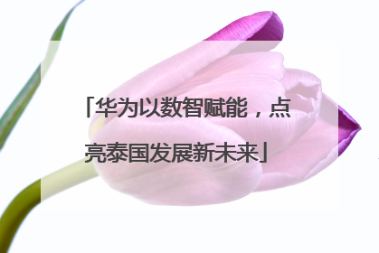 华为以数智赋能，点亮泰国发展新未来