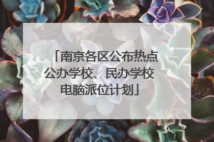 南京各区公布热点公办学校、民办学校电脑派位计划
