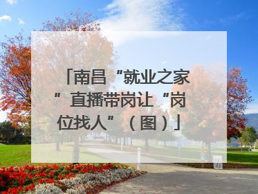 南昌“就业之家”直播带岗让“岗位找人”（图）