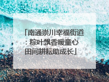 南通崇川幸福街道：粽叶飘香暖童心 田间耕耘助成长