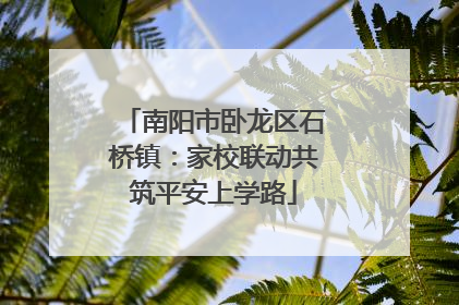 南阳市卧龙区石桥镇：家校联动共筑平安上学路