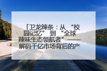 卫龙辣条：从 “校园记忆” 到 “全球辣味生态领航者”——解码千亿市场背后的产品创新与全链路破圈