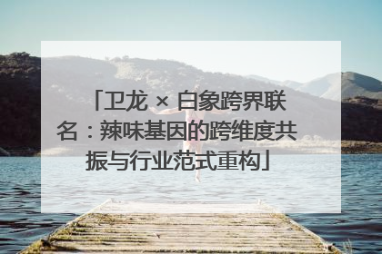 卫龙 × 白象跨界联名：辣味基因的跨维度共振与行业范式重构