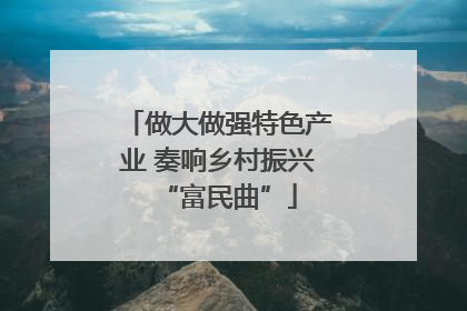 做大做强特色产业 奏响乡村振兴“富民曲”