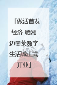 做活首发经济 赣湘边奥莱数字生活城正式开业
