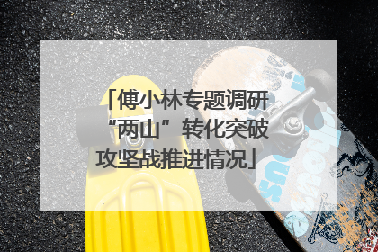 傅小林专题调研“两山”转化突破攻坚战推进情况