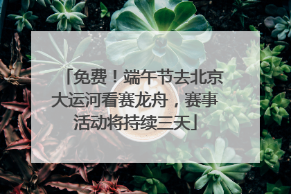 免费！端午节去北京大运河看赛龙舟，赛事活动将持续三天