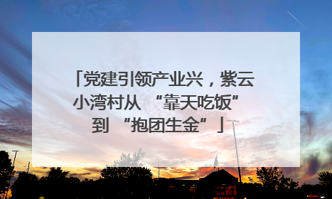 党建引领产业兴，紫云小湾村从 “靠天吃饭” 到 “抱团生金”