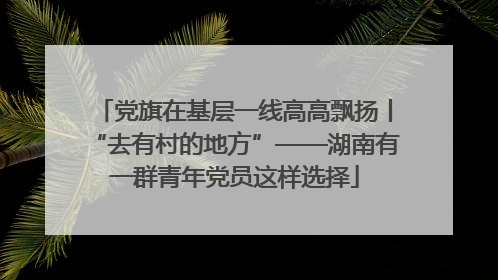 党旗在基层一线高高飘扬丨“去有村的地方”——湖南有一群青年党员这样选择