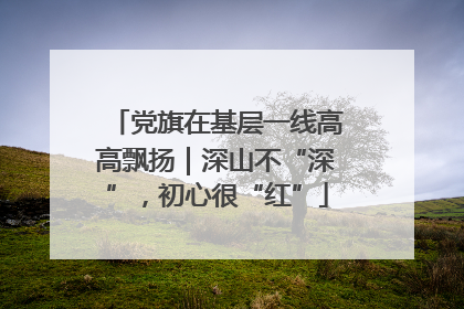 党旗在基层一线高高飘扬｜深山不“深”，初心很“红”