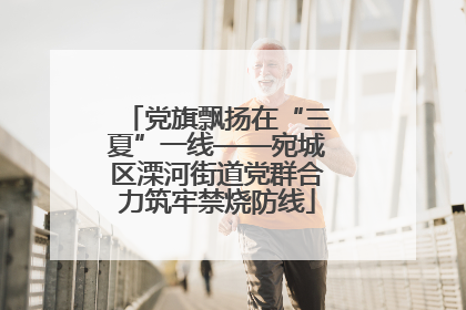 党旗飘扬在“三夏”一线——宛城区溧河街道党群合力筑牢禁烧防线