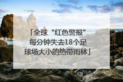 全球“红色警报”  每分钟失去18个足球场大小的热带雨林