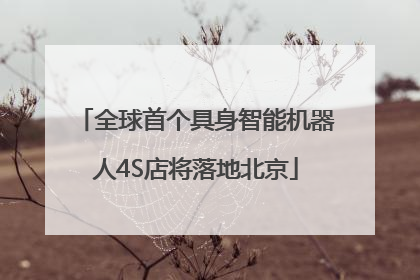 全球首个具身智能机器人4S店将落地北京