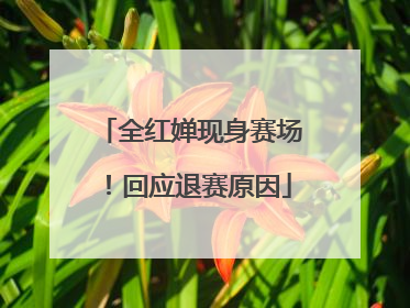 全红婵现身赛场！回应退赛原因