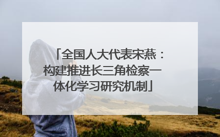 全国人大代表宋燕：构建推进长三角检察一体化学习研究机制