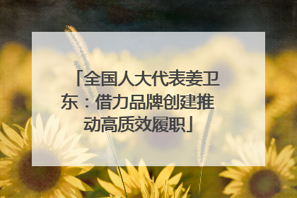 全国人大代表姜卫东：借力品牌创建推动高质效履职