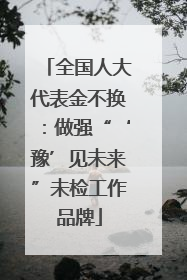 全国人大代表金不换：做强“‘豫’见未来”未检工作品牌