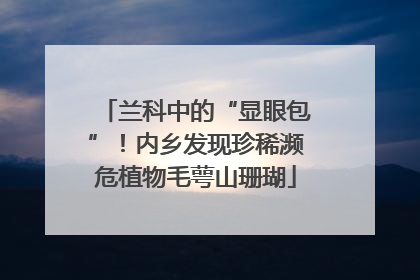 兰科中的“显眼包”！内乡发现珍稀濒危植物毛萼山珊瑚