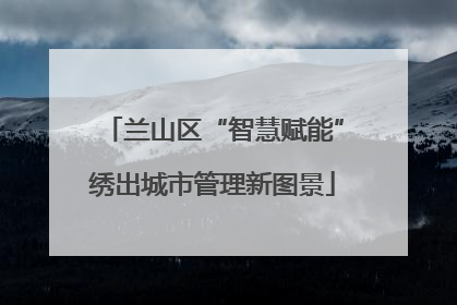兰山区“智慧赋能”绣出城市管理新图景