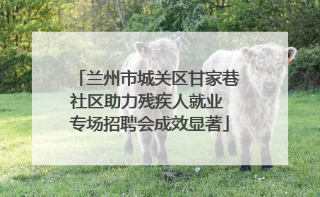 兰州市城关区甘家巷社区助力残疾人就业 专场招聘会成效显著