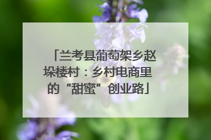 兰考县葡萄架乡赵垛楼村：乡村电商里的“甜蜜”创业路