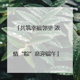 共筑幸福邻里 浓情“粽”意迎端午