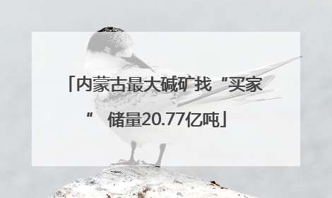 内蒙古最大碱矿找“买家” 储量20.77亿吨