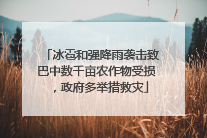 冰雹和强降雨袭击致巴中数千亩农作物受损，政府多举措救灾