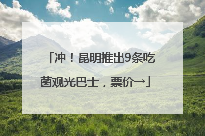 冲！昆明推出9条吃菌观光巴士，票价→