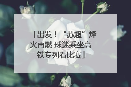 出发！“苏超”烽火再燃 球迷乘坐高铁专列看比赛