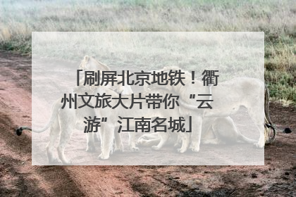刷屏北京地铁！衢州文旅大片带你“云游”江南名城