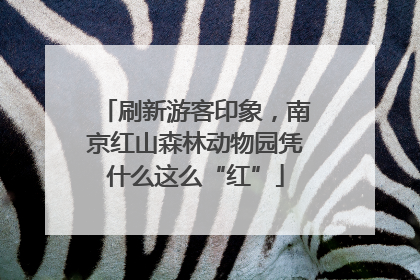 刷新游客印象，南京红山森林动物园凭什么这么“红”
