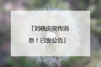 刘晓庆突传消息！已发公告