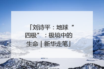 刘诗平：地球“四极”：极境中的生命｜新华走笔