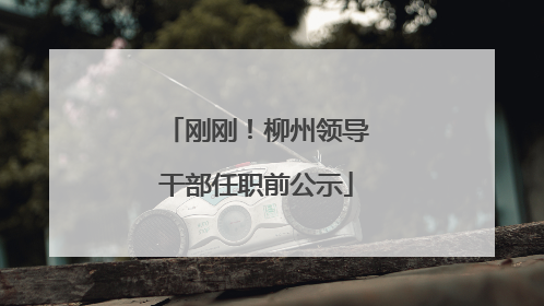 刚刚！柳州领导干部任职前公示
