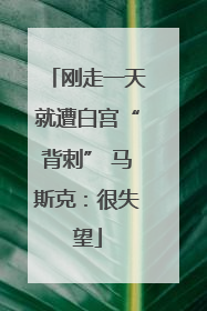刚走一天就遭白宫“背刺” 马斯克：很失望